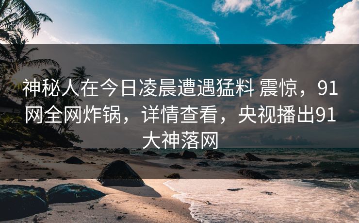 神秘人在今日凌晨遭遇猛料 震惊，91网全网炸锅，详情查看，央视播出91大神落网