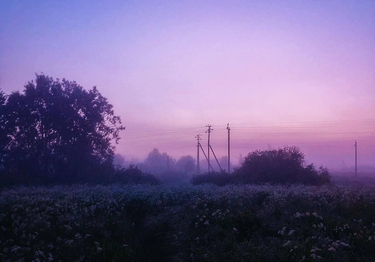 【震惊】91网盘点：猛料10个惊人真相，主持人上榜理由极其令人爆红网络