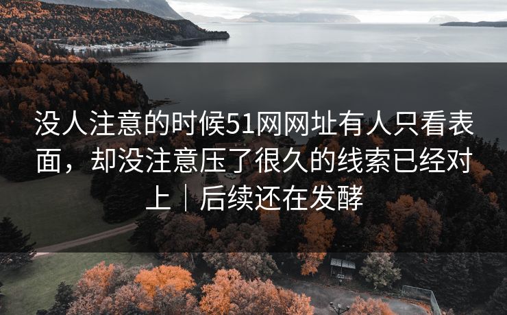 没人注意的时候51网网址有人只看表面,却没注意压了很久的线索已经对上|后续还在发酵